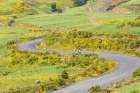 Ethiopia. Amhara. Winding road in the Ethiopian highlands. Art Print